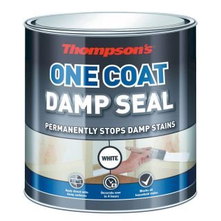 Thompsons One Coat Damp Seal Paint